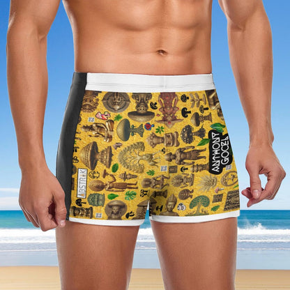 Fashionable Men's  boardshorts Swim Trunks DN003 (All-Over Printing)