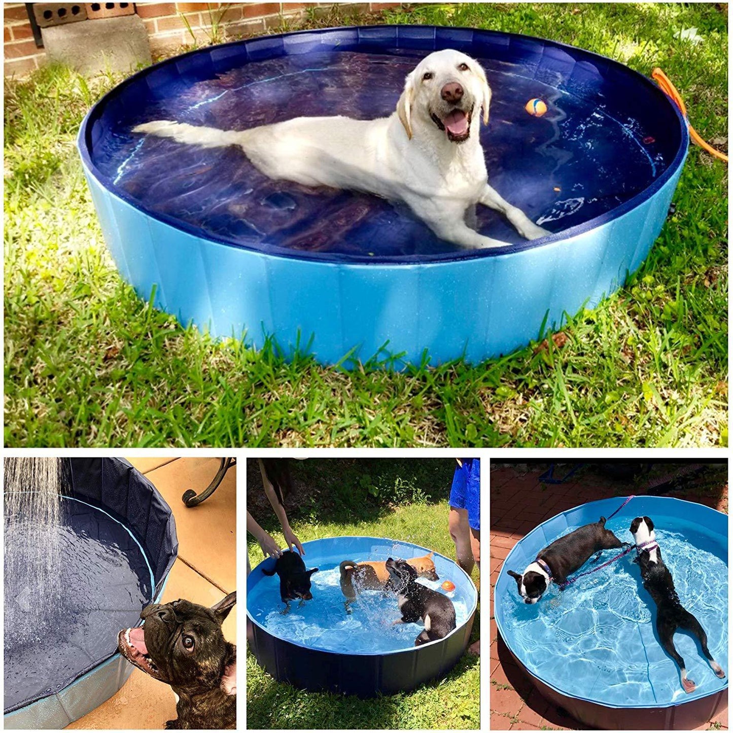 Foldable Dog Pool Pet Bath Swimming Tub Bathtub Outdoor Indoor Collapsible Bathing Pool For Dogs Cats Kids Pool