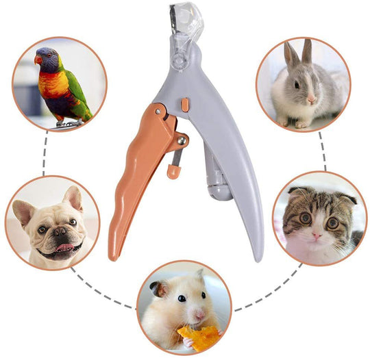 Professional Pet LED Light  Nail Clipper Scissors