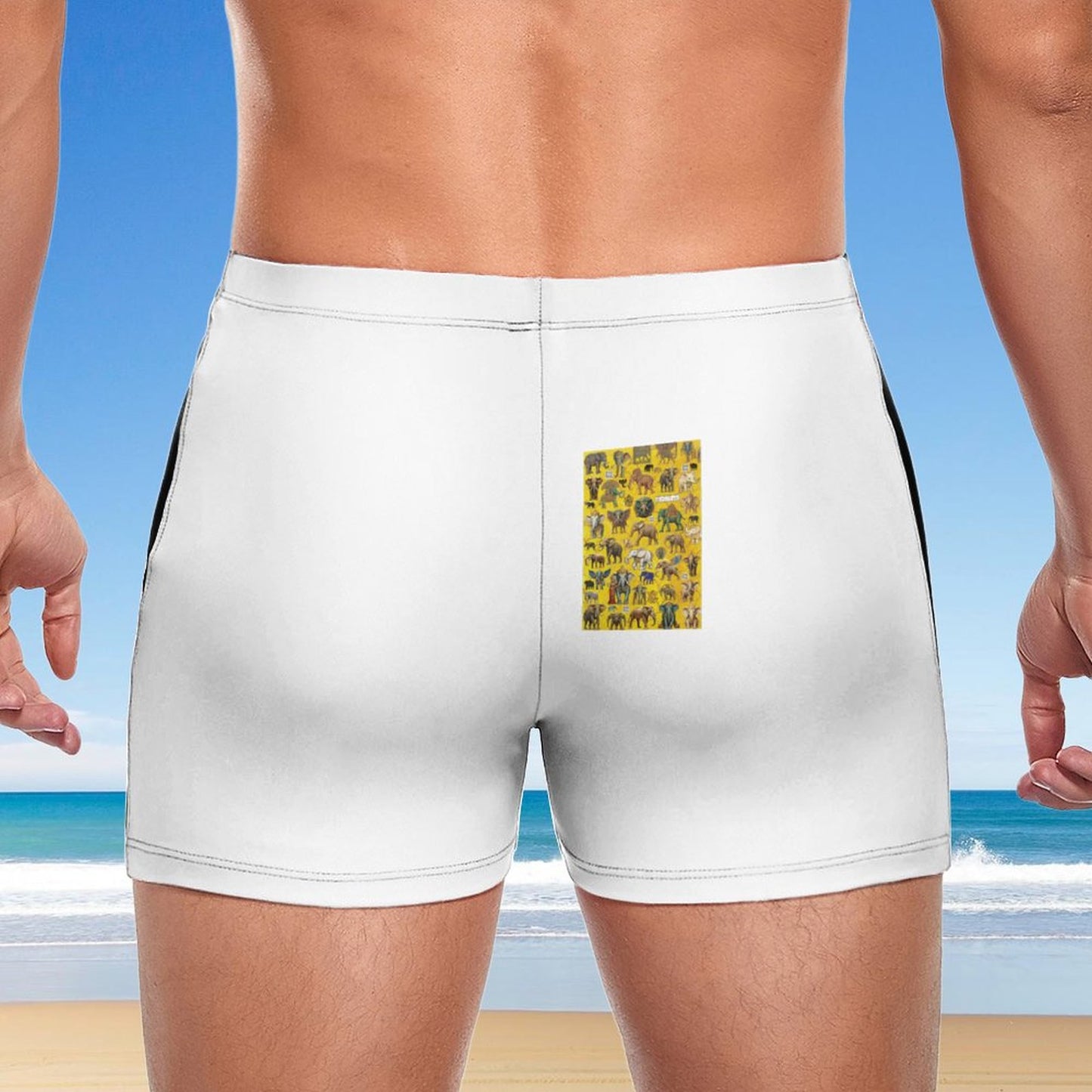 Fashionable Men's  boardshorts Swim Trunks DN003 (All-Over Printing)