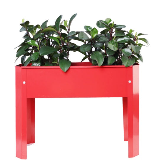 Outdoor Indoor Flowers, Fruits, Herbs, Vegetables, Metal Plant Boxes