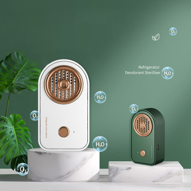 Home Air Purifier Active Oxygen Removes Odor